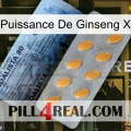 Ginseng Power X 44